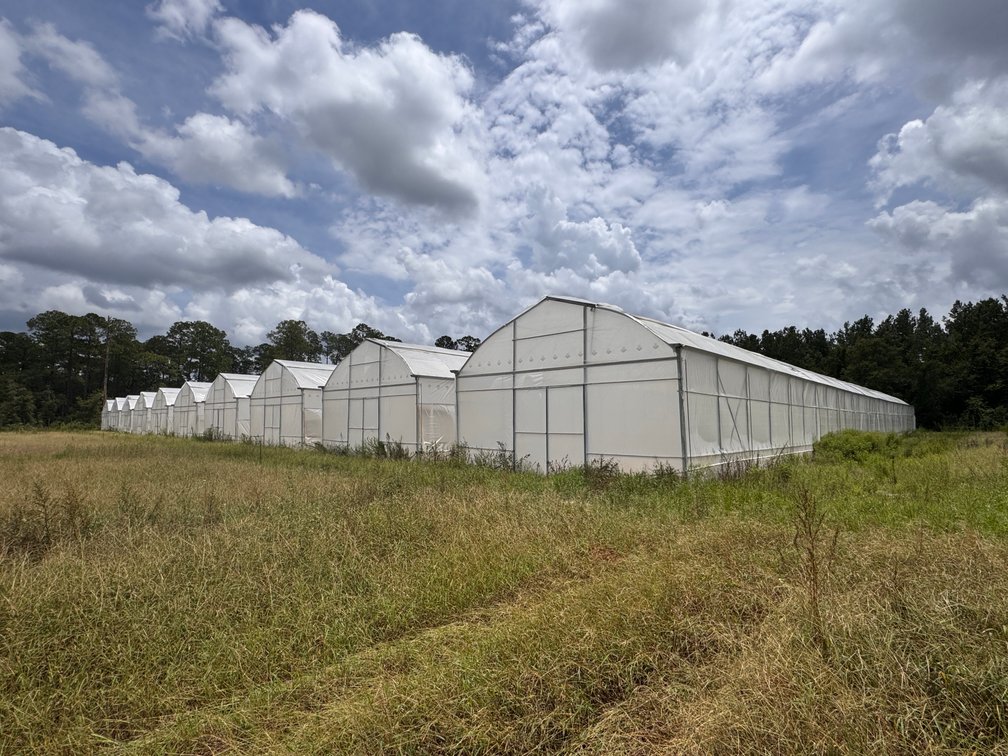 Image for Hawthorne, Florida Greenhouse Auction — Ten High Tunnel Greenhouses Selling Individually