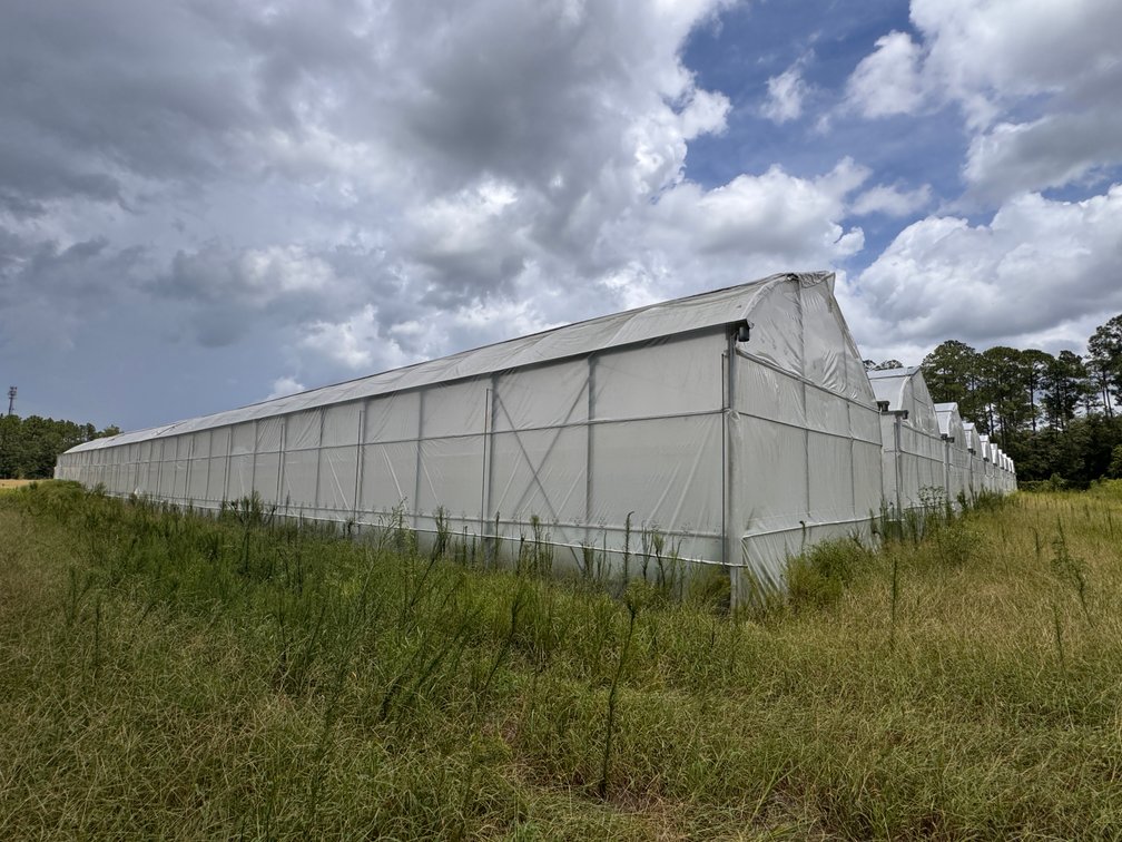 Image for Hawthorne, Florida Greenhouse Auction — Ten High Tunnel Greenhouses Selling Individually