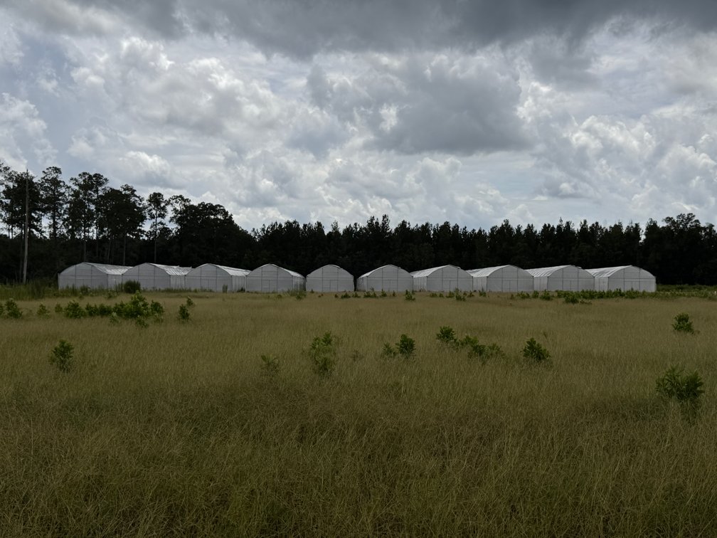 Image for Hawthorne, Florida Greenhouse Auction — Ten High Tunnel Greenhouses Selling Individually