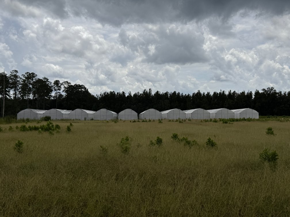 Image for Hawthorne, Florida Greenhouse Auction — Ten High Tunnel Greenhouses Selling Individually
