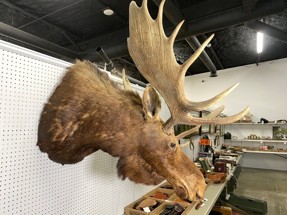 Image for Fall 2026 Sportsman Artwork, Artifacts, Collectibles and More Auction