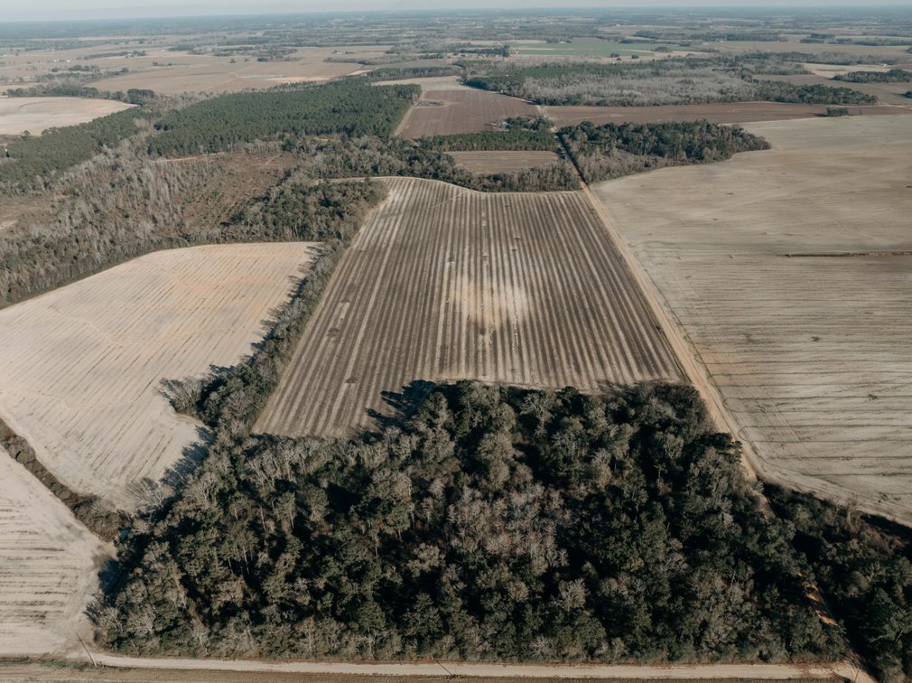 Image for *SOLD* 120 +/- Acres of Prime Agricultural and Recreational Land in Early County, GA *SOLD*