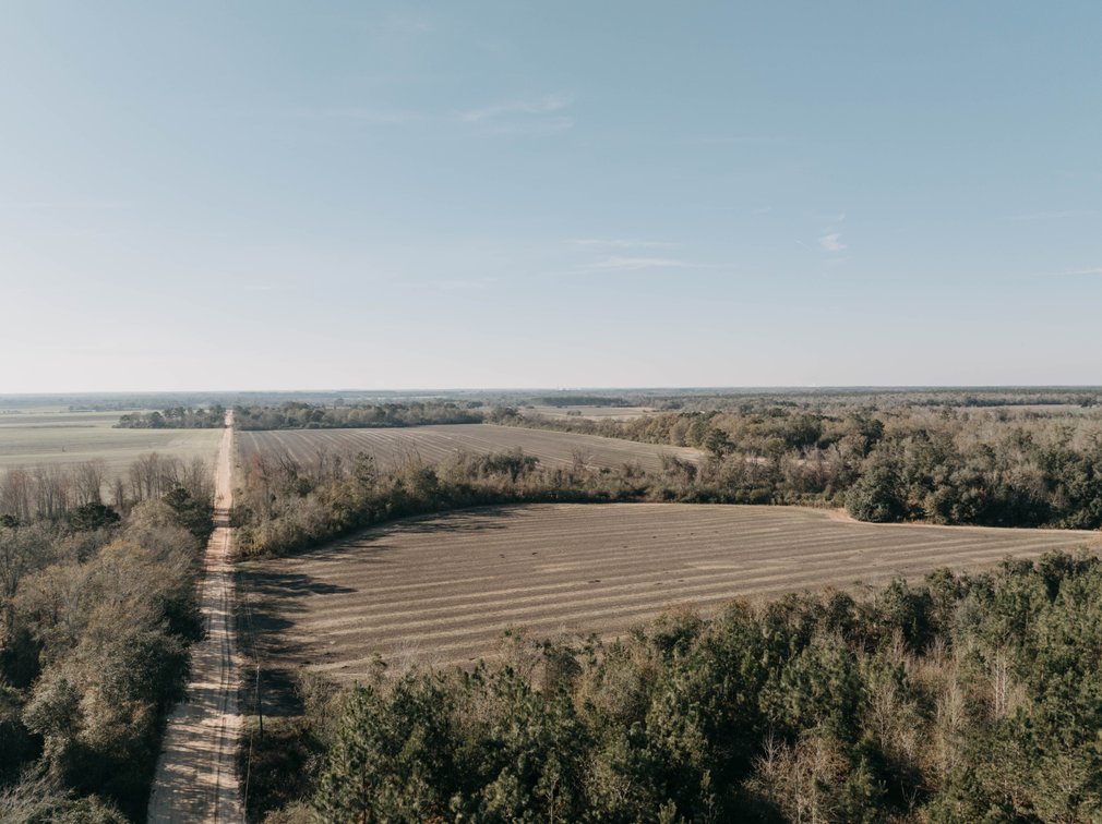 Image for *SOLD* 120 +/- Acres of Prime Agricultural and Recreational Land in Early County, GA *SOLD*