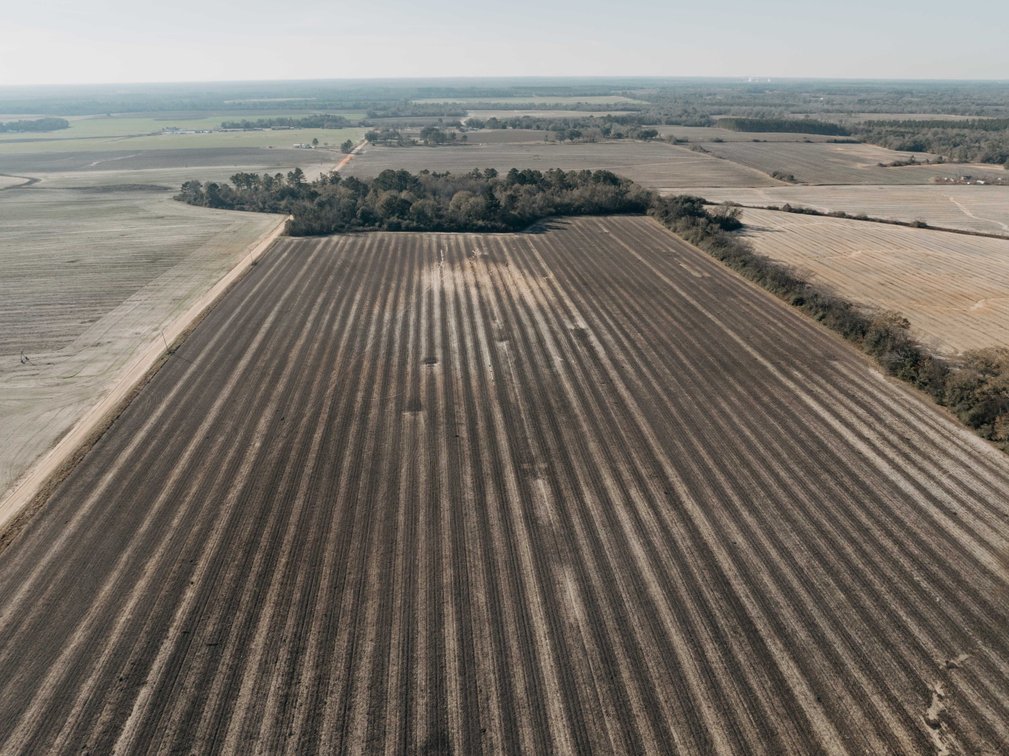 Image for *SOLD* 120 +/- Acres of Prime Agricultural and Recreational Land in Early County, GA *SOLD*