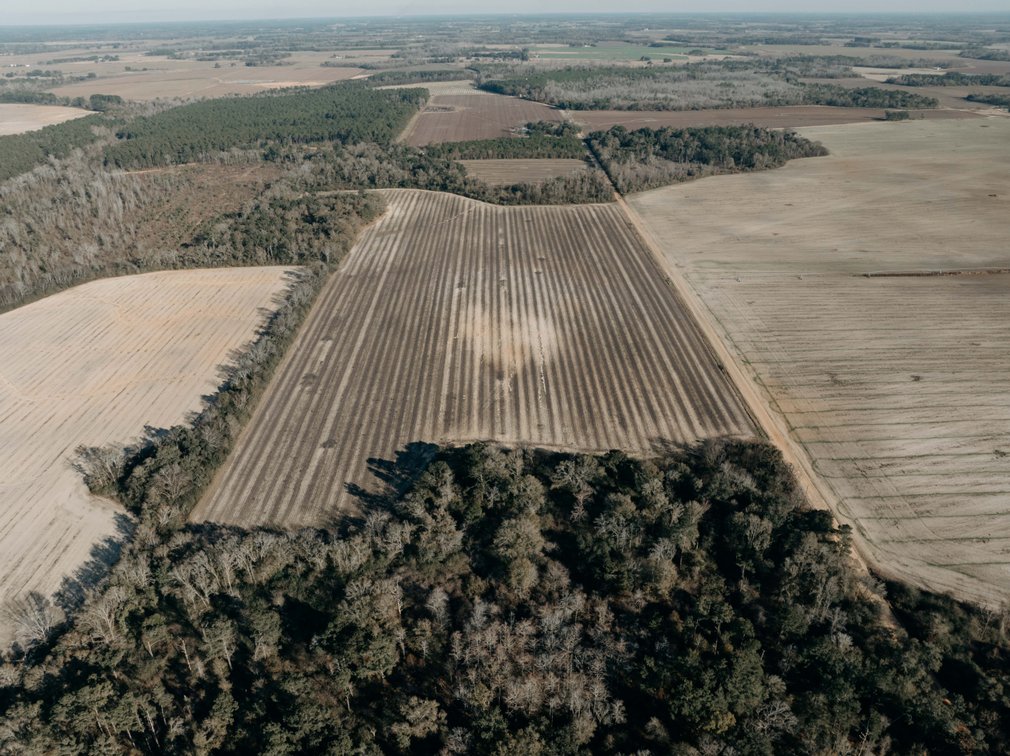 Image for *SOLD* 120 +/- Acres of Prime Agricultural and Recreational Land in Early County, GA *SOLD*