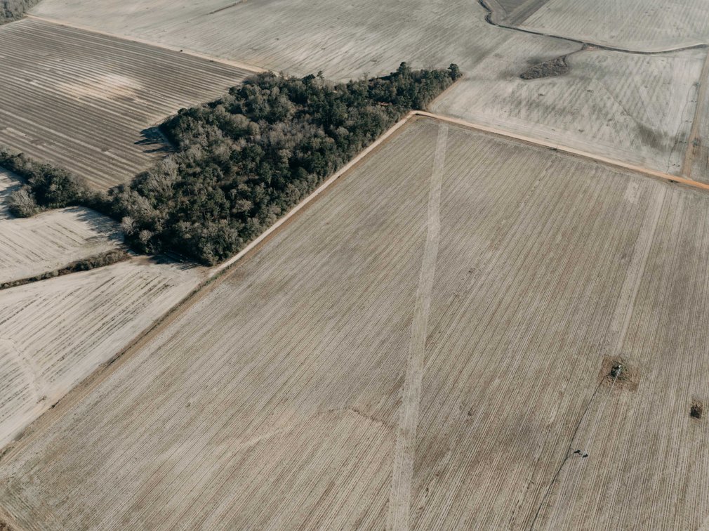 Image for *SOLD* 120 +/- Acres of Prime Agricultural and Recreational Land in Early County, GA *SOLD*