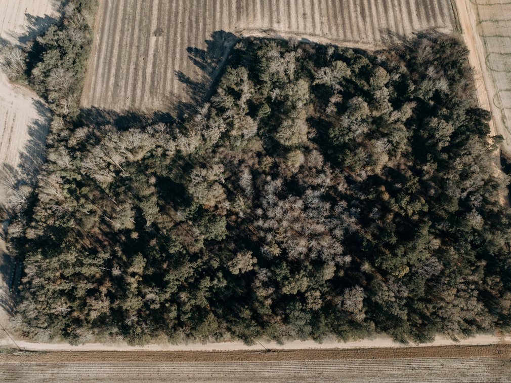 Image for *SOLD* 120 +/- Acres of Prime Agricultural and Recreational Land in Early County, GA *SOLD*