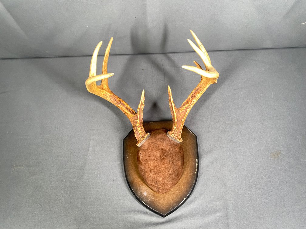 Image for The Estate of Buster Lanter. Antiques, Military Memorabilia, Hunting Gear, Furniture and More!