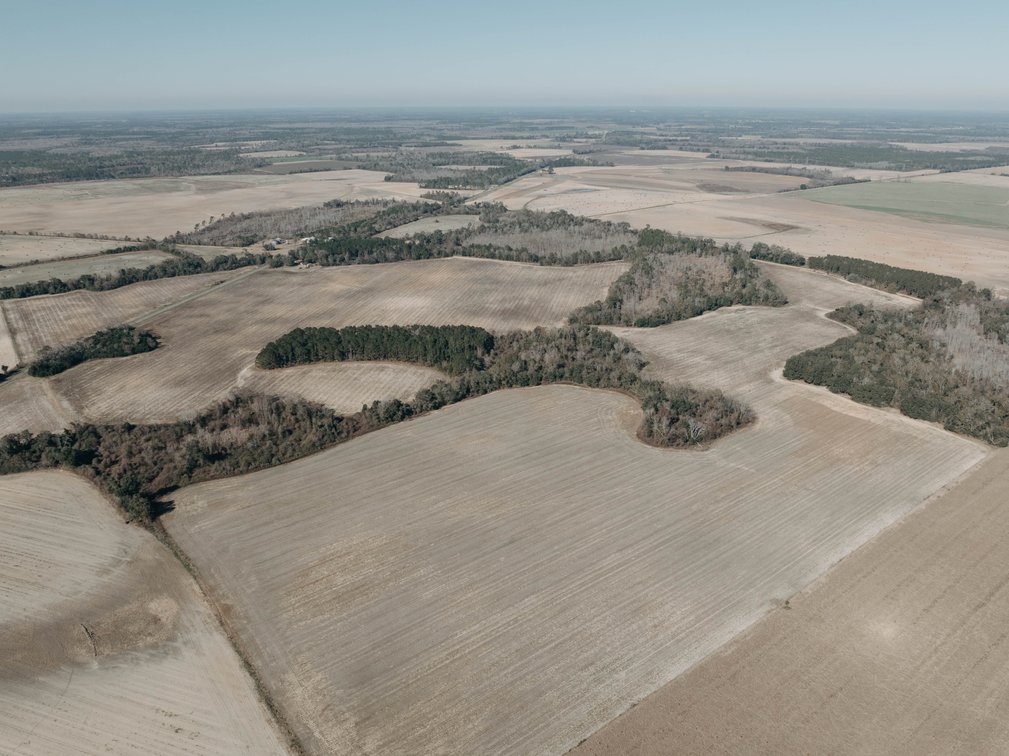 Image for *SOLD* 365.4 +/- Acres of Prime Baker County Farmland – Agricultural, Timber, and Recreational Opportunities *SOLD*