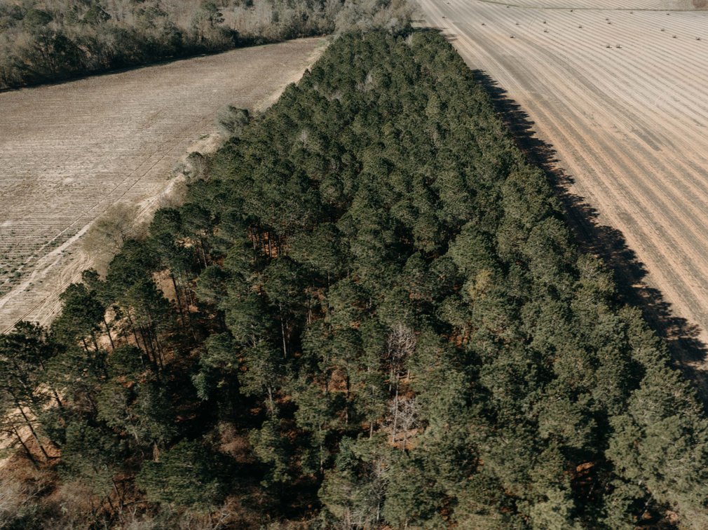Image for *SOLD* 365.4 +/- Acres of Prime Baker County Farmland – Agricultural, Timber, and Recreational Opportunities *SOLD*