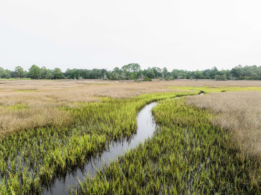 Image for Shell Point Development Tract – 12.88± Acres with Gulf Access
