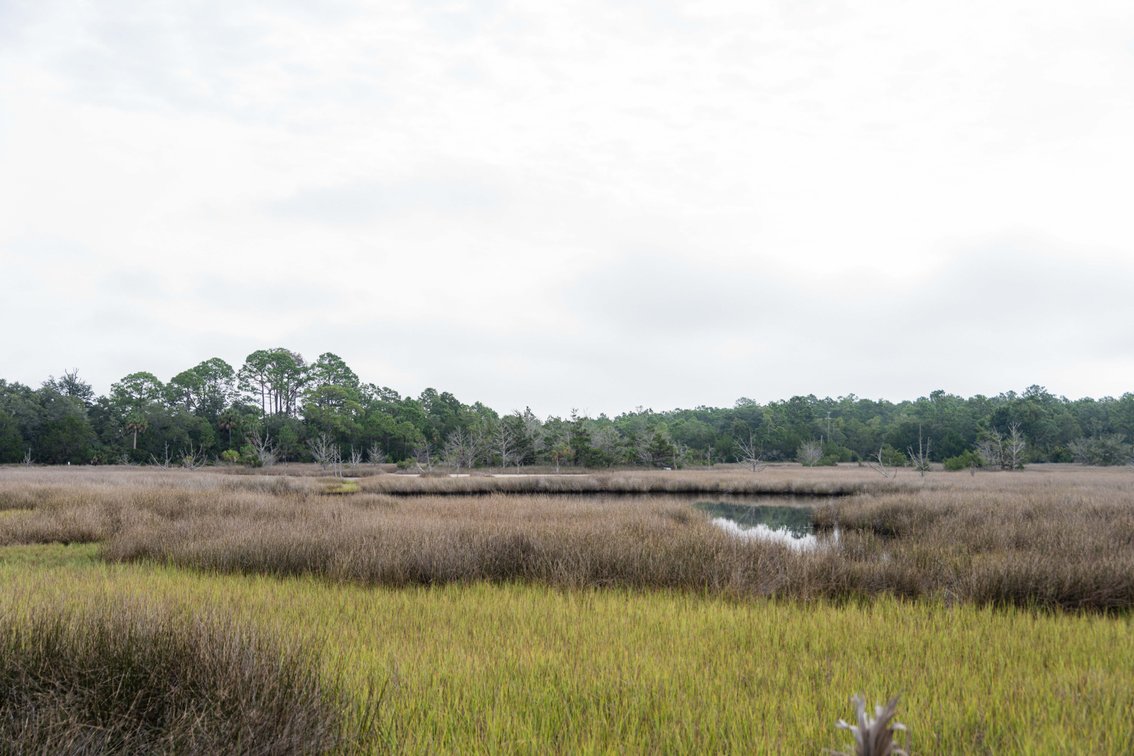 Image for Shell Point Development Tract – 12.88± Acres with Gulf Access