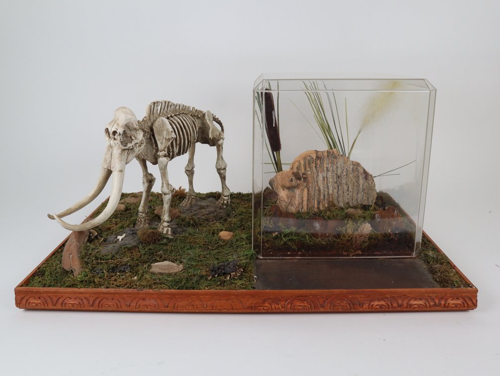 Image for Fall 2025 Sportsman Auction Day 1 with Artifacts, Collectibles, Military Memorabilia,  and More!