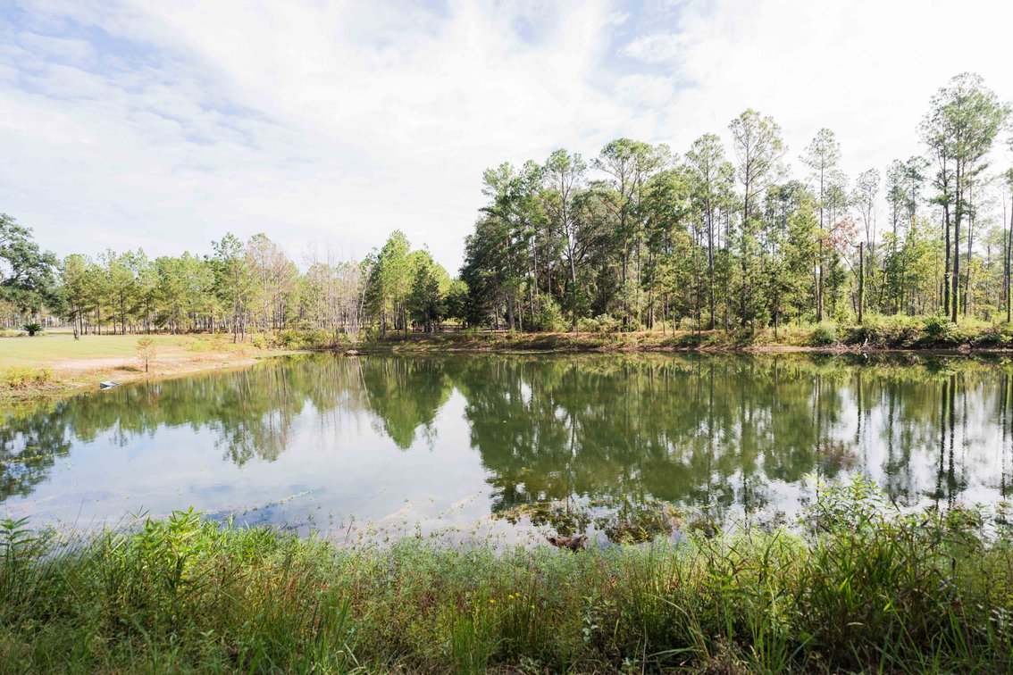 Image for 6.74+/- Acres and Home on Miller Bridge Road, Northern Lowndes County