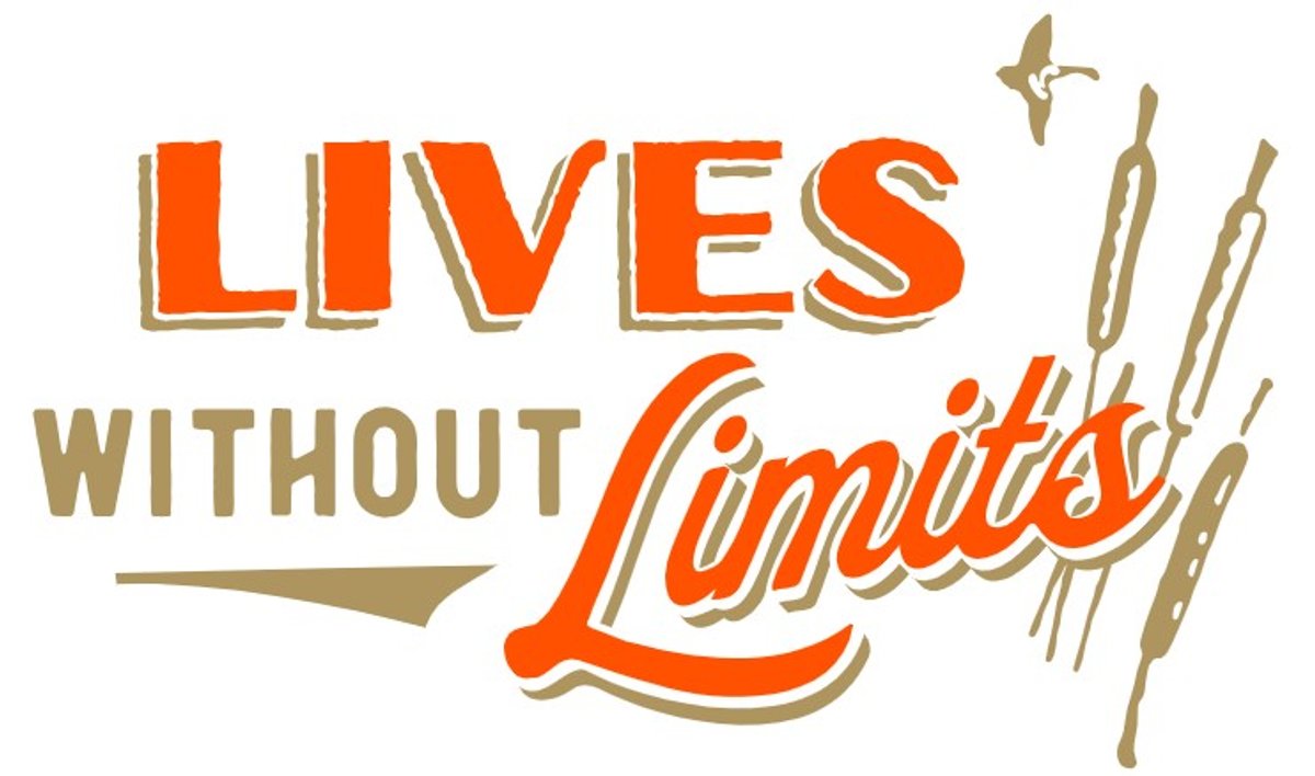 Image for Lives WIthout Limits 2025 Black Friday Fun Auction