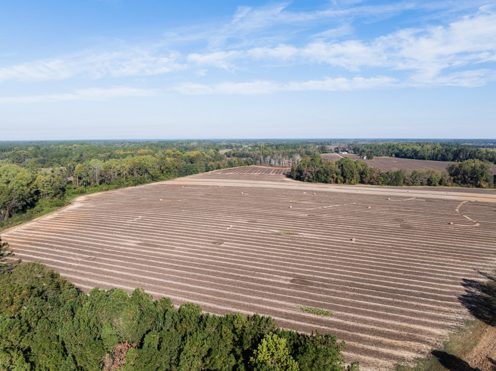 Image for The Redfearn Estate - Sealed Bid Auction