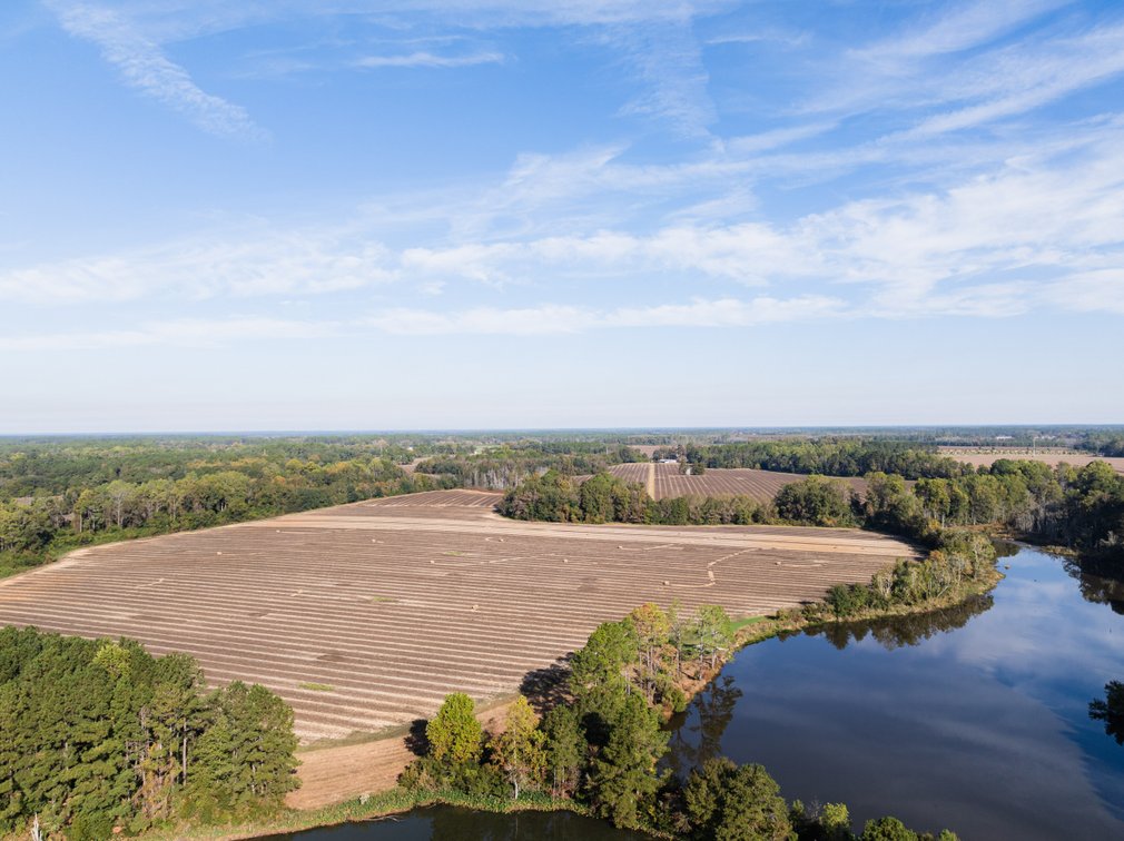 Image for The Redfearn Estate - Sealed Bid Auction