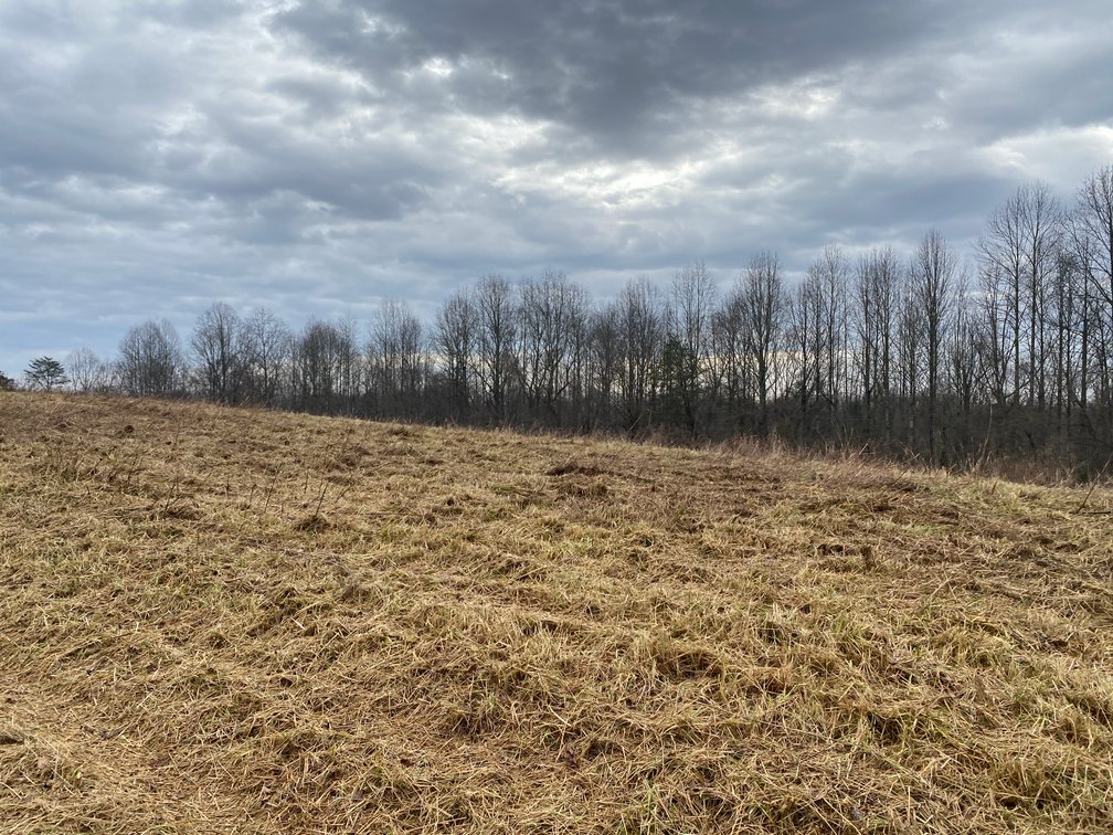 Image for Real Estate Auction - Home & 38± Acres in Dobson, NC