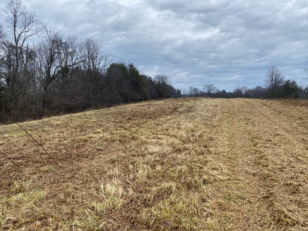 Image for Real Estate Auction - Home & 38± Acres in Dobson, NC