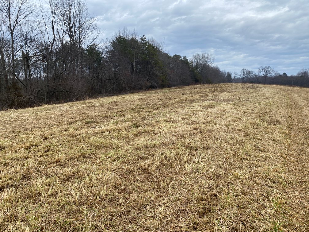 Image for Real Estate Auction - Home & 38± Acres in Dobson, NC