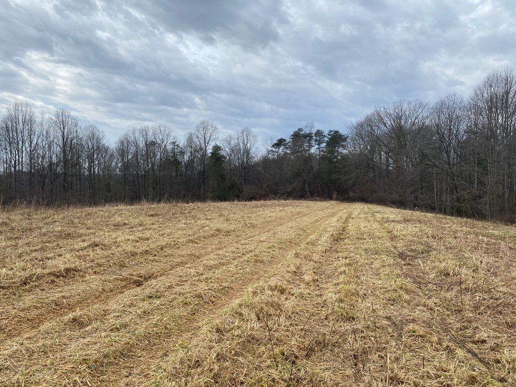 Image for Real Estate Auction - Home & 38± Acres in Dobson, NC