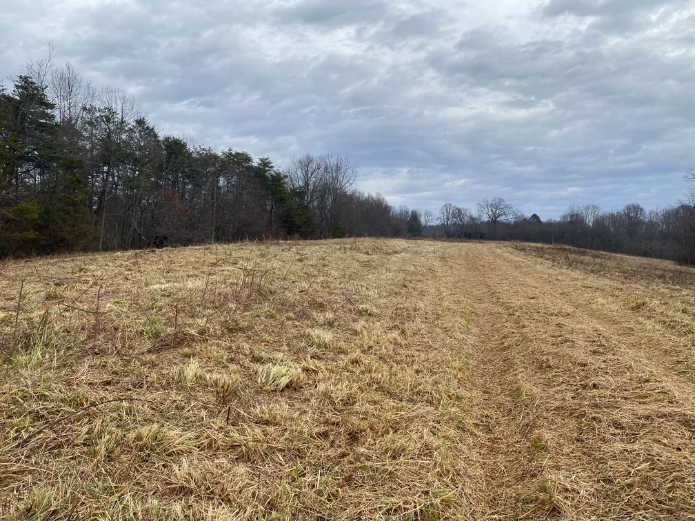 Image for Real Estate Auction - Home & 38± Acres in Dobson, NC