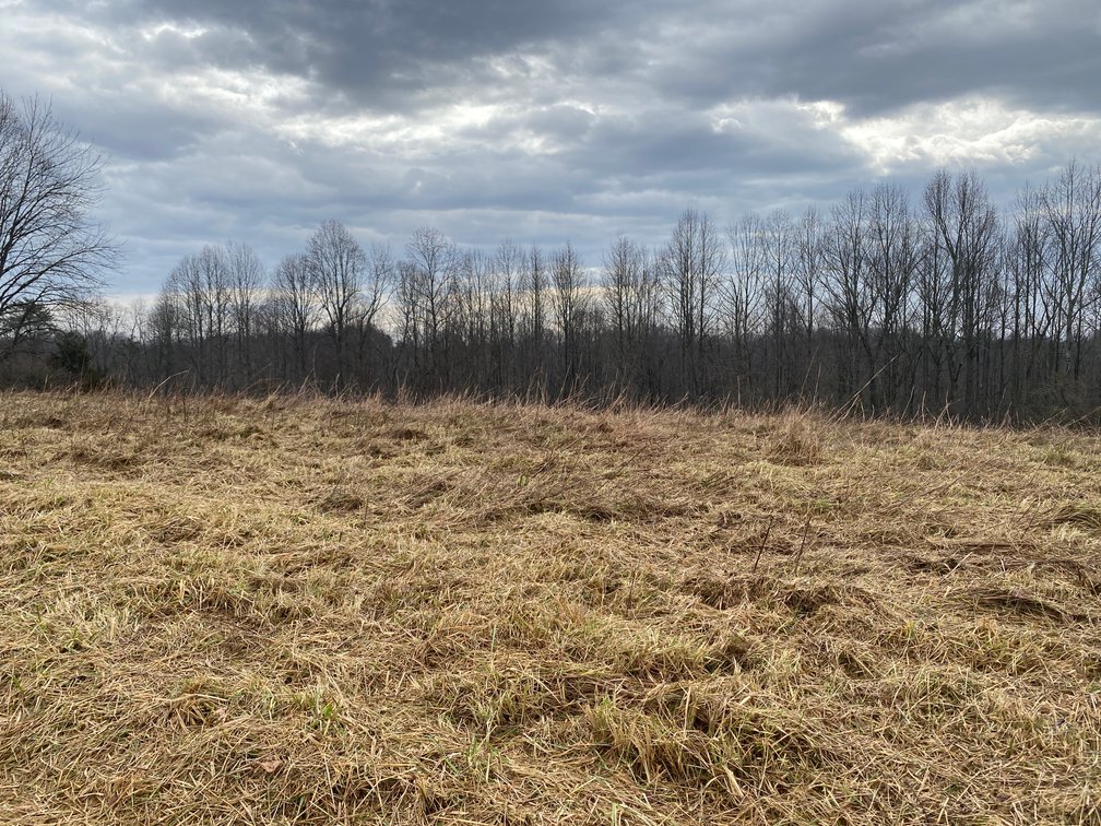 Image for Real Estate Auction - Home & 38± Acres in Dobson, NC