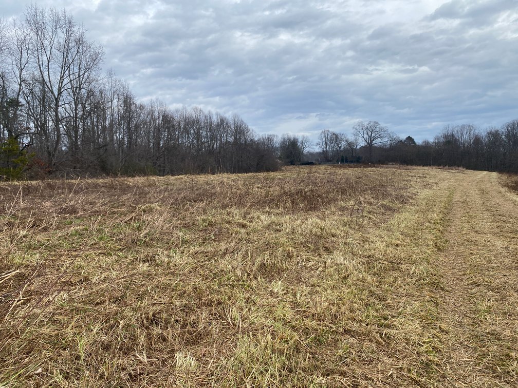 Image for Real Estate Auction - Home & 38± Acres in Dobson, NC