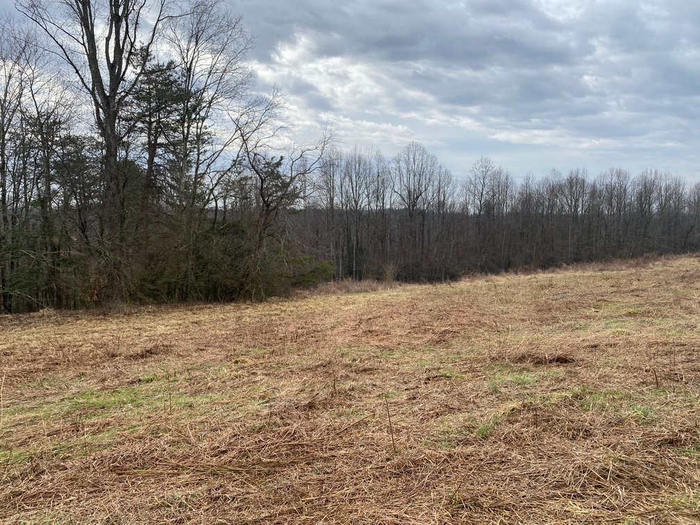 Image for Real Estate Auction - Home & 38± Acres in Dobson, NC