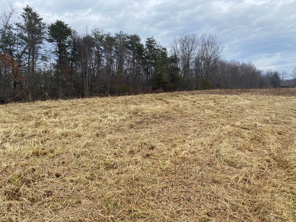 Image for Real Estate Auction - Home & 38± Acres in Dobson, NC