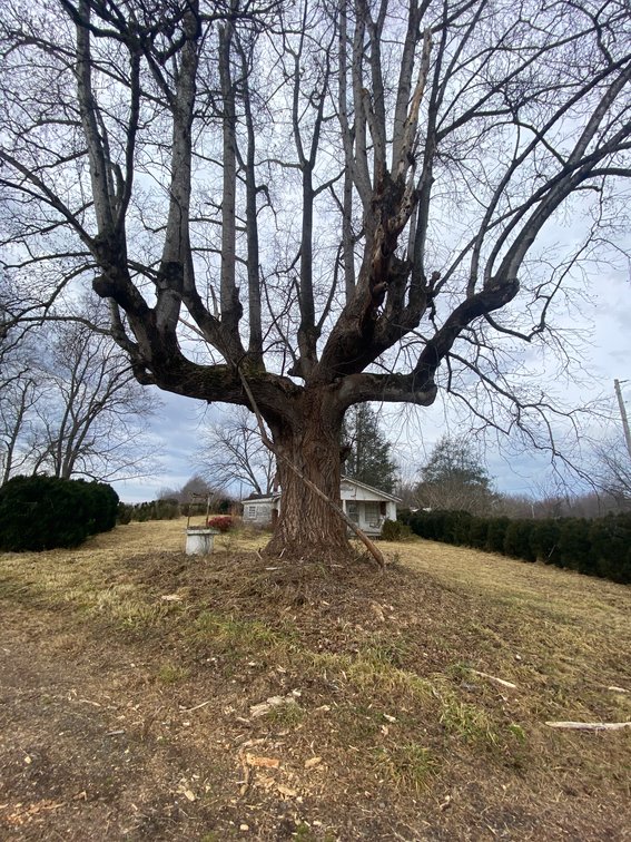 Image for Real Estate Auction - Home & 38± Acres in Dobson, NC