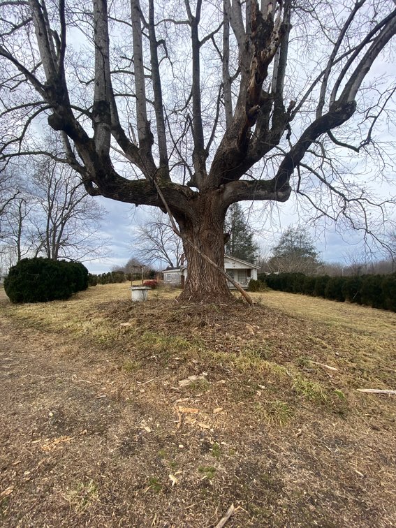 Image for Real Estate Auction - Home & 38± Acres in Dobson, NC