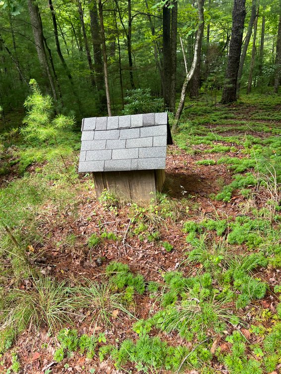 Image for Raiford Commissioner's Sale: House & Acreage in Orchard Mountain