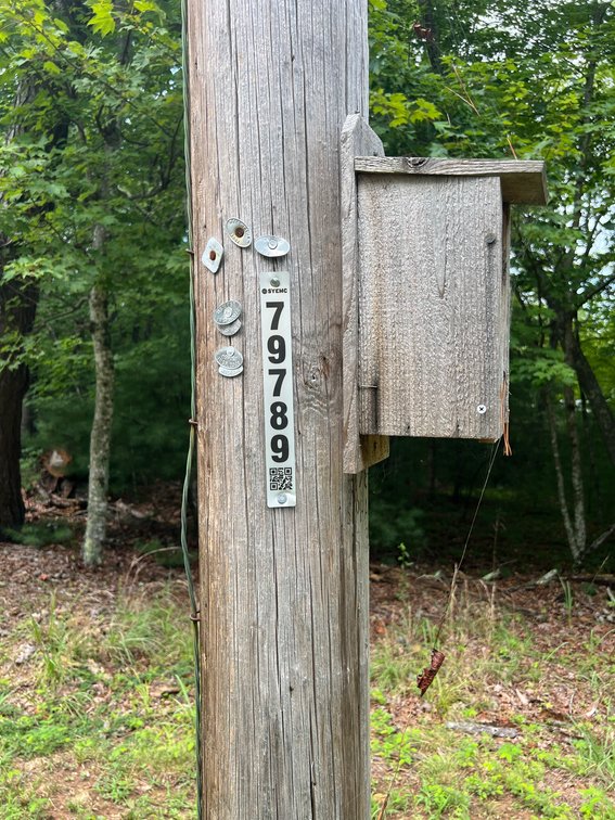 Image for Raiford Commissioner's Sale: House & Acreage in Orchard Mountain
