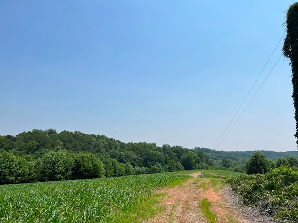 Image for Estate of The Late Jimmy Ray Newman - 150± Acres with 1 Home & Additional Buildings