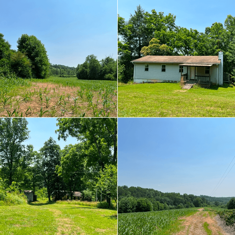 Image for Estate of The Late Jimmy Ray Newman - 150± Acres with 1 Home & Additional Buildings