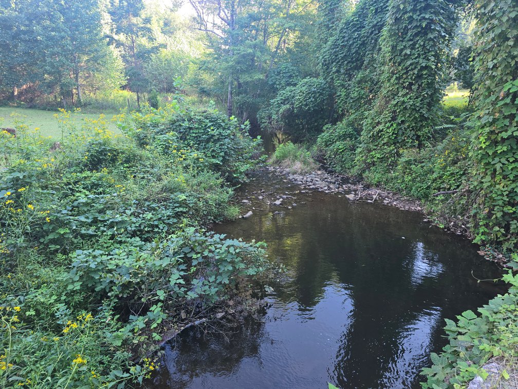 Image for Real Estate Auction — Doublewide on 2.6 Acres & 40.47 Acre Tract in Patrick Springs, VA