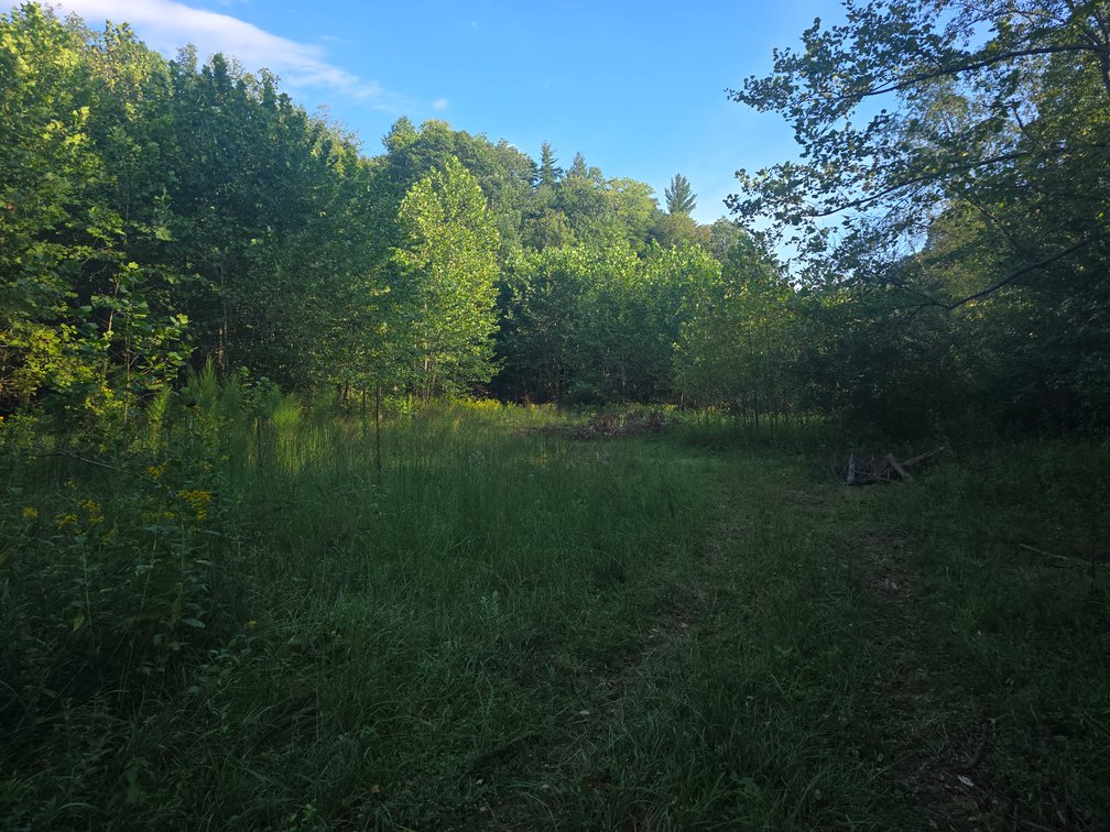 Image for Real Estate Auction — Doublewide on 2.6 Acres & 40.47 Acre Tract in Patrick Springs, VA