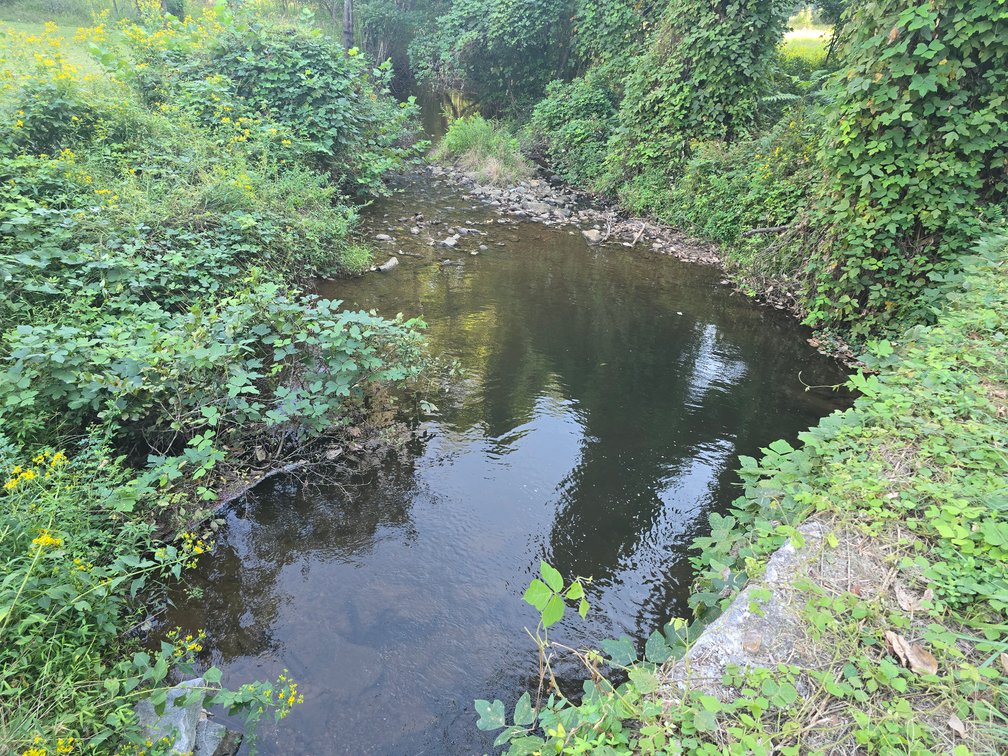 Image for Real Estate Auction — Doublewide on 2.6 Acres & 40.47 Acre Tract in Patrick Springs, VA