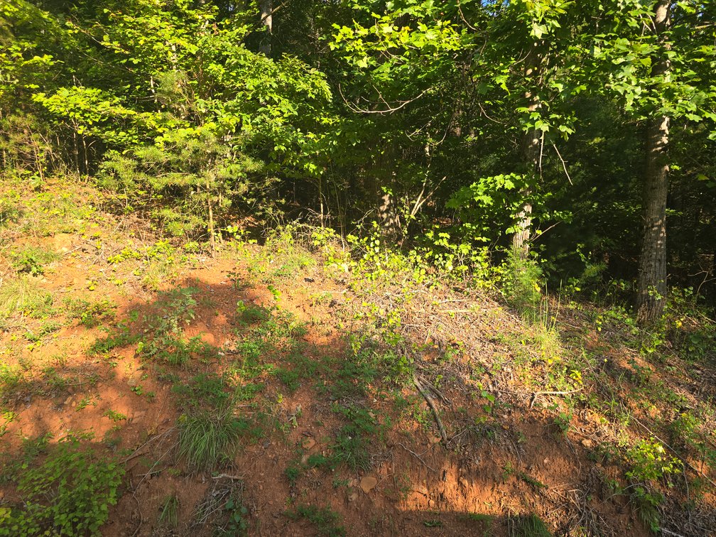 Image for Real Estate Auction — Doublewide on 2.6 Acres & 40.47 Acre Tract in Patrick Springs, VA