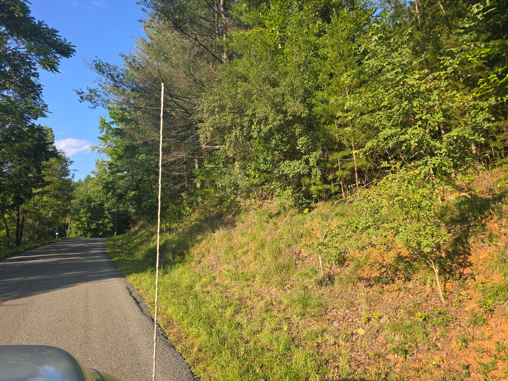Image for Real Estate Auction — Doublewide on 2.6 Acres & 40.47 Acre Tract in Patrick Springs, VA