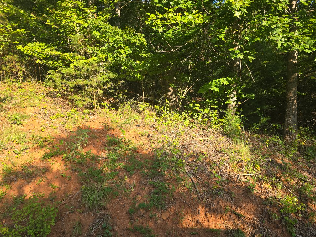 Image for Real Estate Auction — Doublewide on 2.6 Acres & 40.47 Acre Tract in Patrick Springs, VA