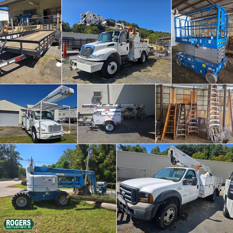 Image for Light Electric Liquidation Auction