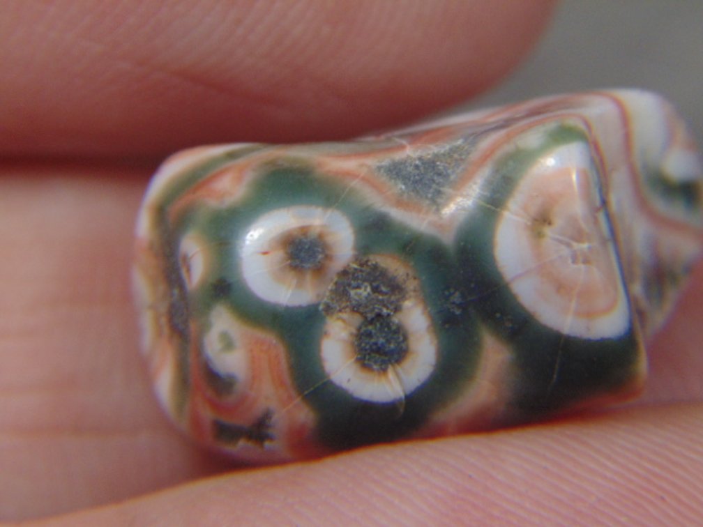 Image for Lapidary: Agates, Fossils, Equipment & More