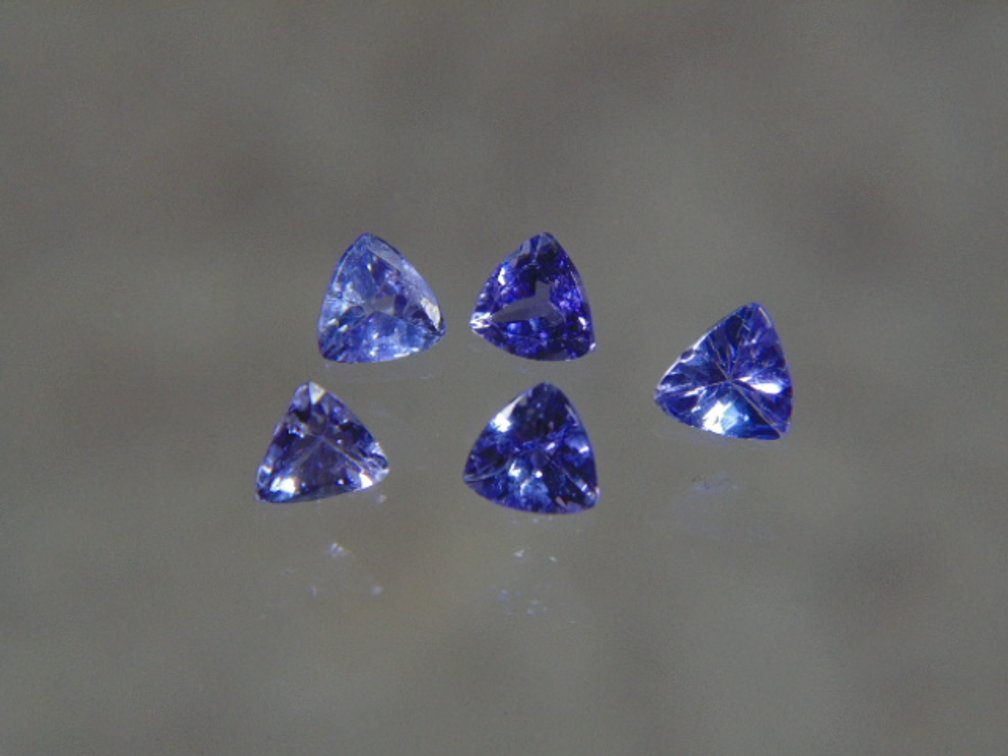 Image for Lapidary: Agates, Fossils, Equipment & More