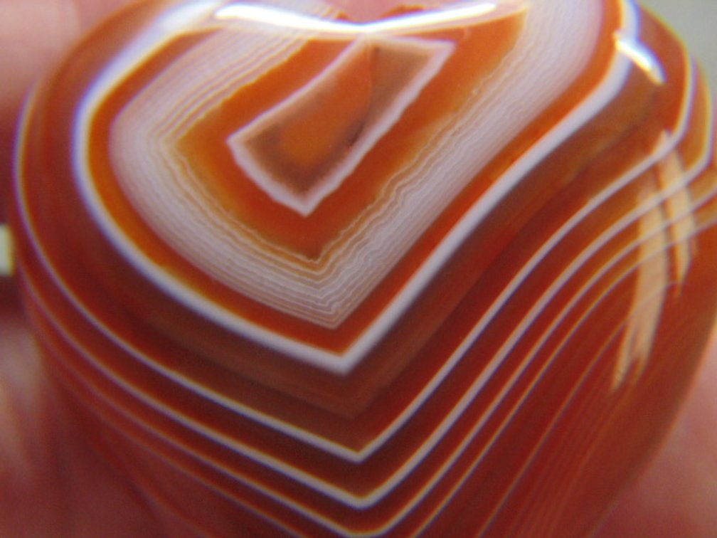 Image for Coins, Akro Agate, Lapidary: Agates, Fossils, Equipment & More