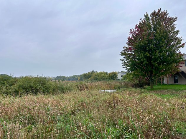 Image for Buildable Residential Lots in St. Cloud