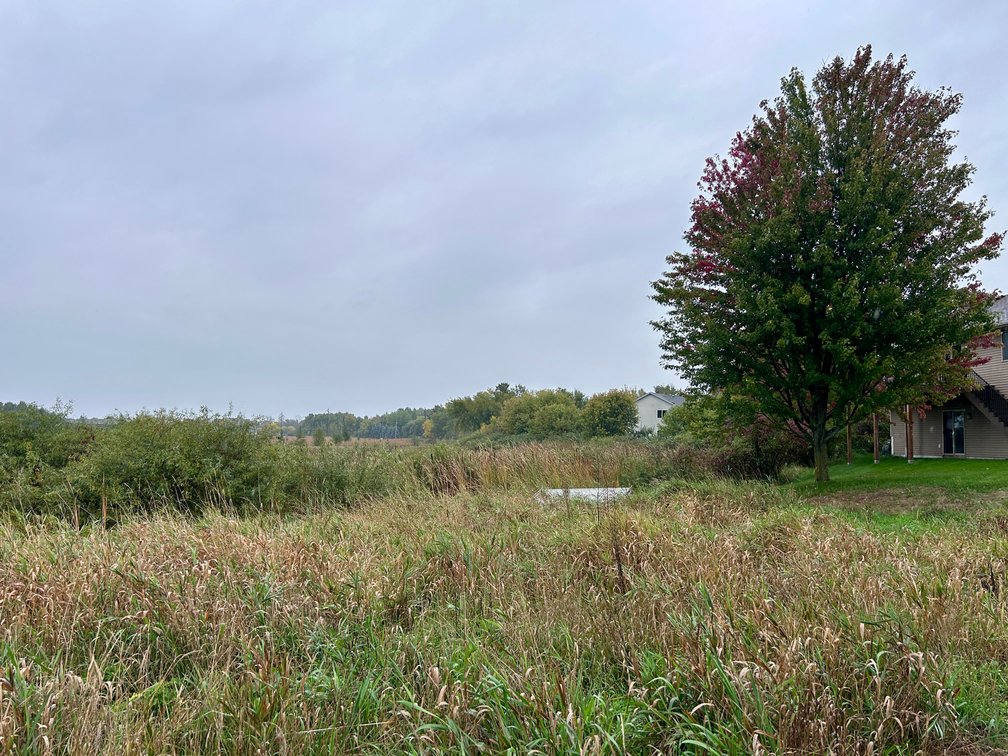 Image for Buildable Residential Lots in St. Cloud