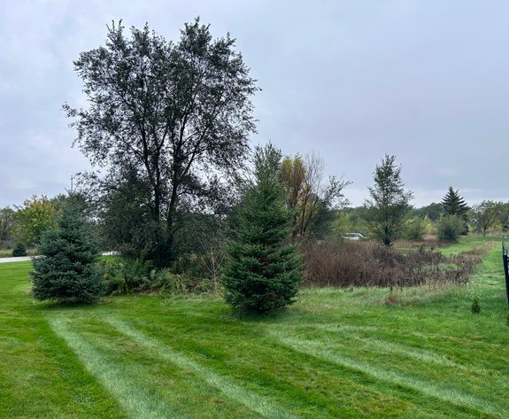 Image for Buildable Residential Lots in St. Cloud