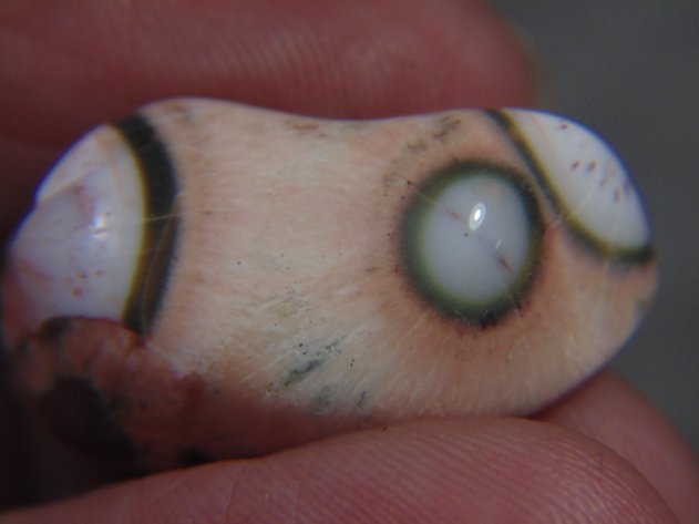 Image for Lapidary Consignment Auction